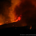 Diana Camp Photo 16