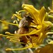 Carol Lytle Photo 25