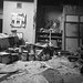 Francis Lane Photo 14