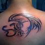 Manuel Sandoval Photo 8