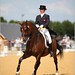 Louis Andersen Photo 4