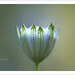 David Hawkins Photo 37