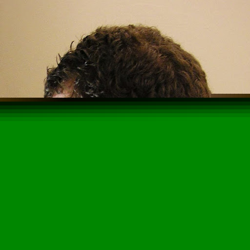 Jason Gregory Photo 7