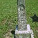 James Estes Photo 8