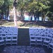 Terri Willis Photo 37