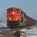 Gary Frost Photo 28