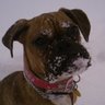 Jill Churchill Photo 8