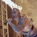 Paul Lindemann Photo 35