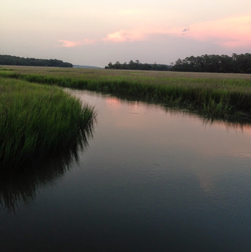 Scott Hines Photo 57