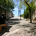 Roberta Pino Photo 8