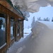 Janet Skinner Photo 28
