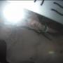 Nathan Haines Photo 12