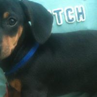 Daniel Vazquez Photo 29