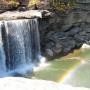Carol Hopkins Photo 20