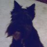 Janice Mcdaniel Photo 42