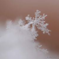 Laura Broome Photo 2