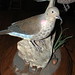 Doris Blanks Photo 10