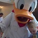Donald Parker Photo 26