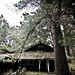 Ann Sisson Photo 14
