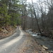 Virginia Waite Photo 13