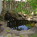 Ryan Pond Photo 11