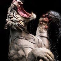 Carlos Teran Photo 9