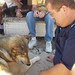 Keith Wolf Photo 20