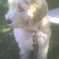 Patricia Boylan Photo 14