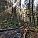 Ray Larsen Photo 19