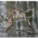 David Hawk Photo 20