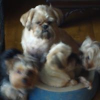 Ann Mcdermott Photo 20
