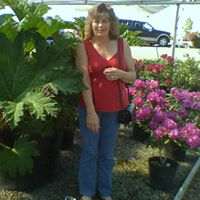 Gina Larson Photo 38