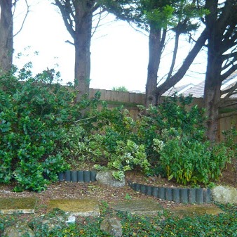 Anne Rowley Photo 22