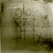 Elizabeth Crowther Photo 12