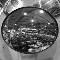 Bradford Miller Photo 43