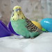 Harry Hatch Photo 13