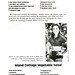 Dawn Thurston Photo 14