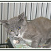 Terrance Foster Photo 26