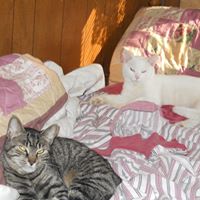 Wanda Doss Photo 18