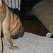 Wallace Bailey Photo 11