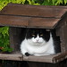 Sylvester Sharp Photo 10