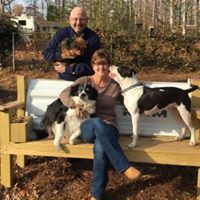 Christine Barfield Photo 7