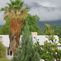 Elizabeth Mcclintock Photo 27