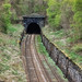 Dale Bray Photo 16