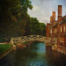 William Etheridge Photo 16