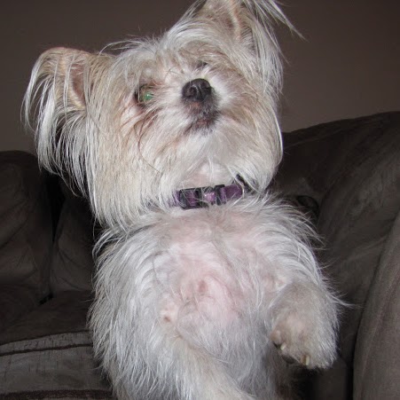 Maurice West Photo 3