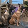 Jennifer Weis Photo 29