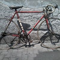 Mario Musso Photo 14
