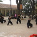 Son Vo Photo 21