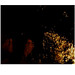 Simon Fritz Photo 1